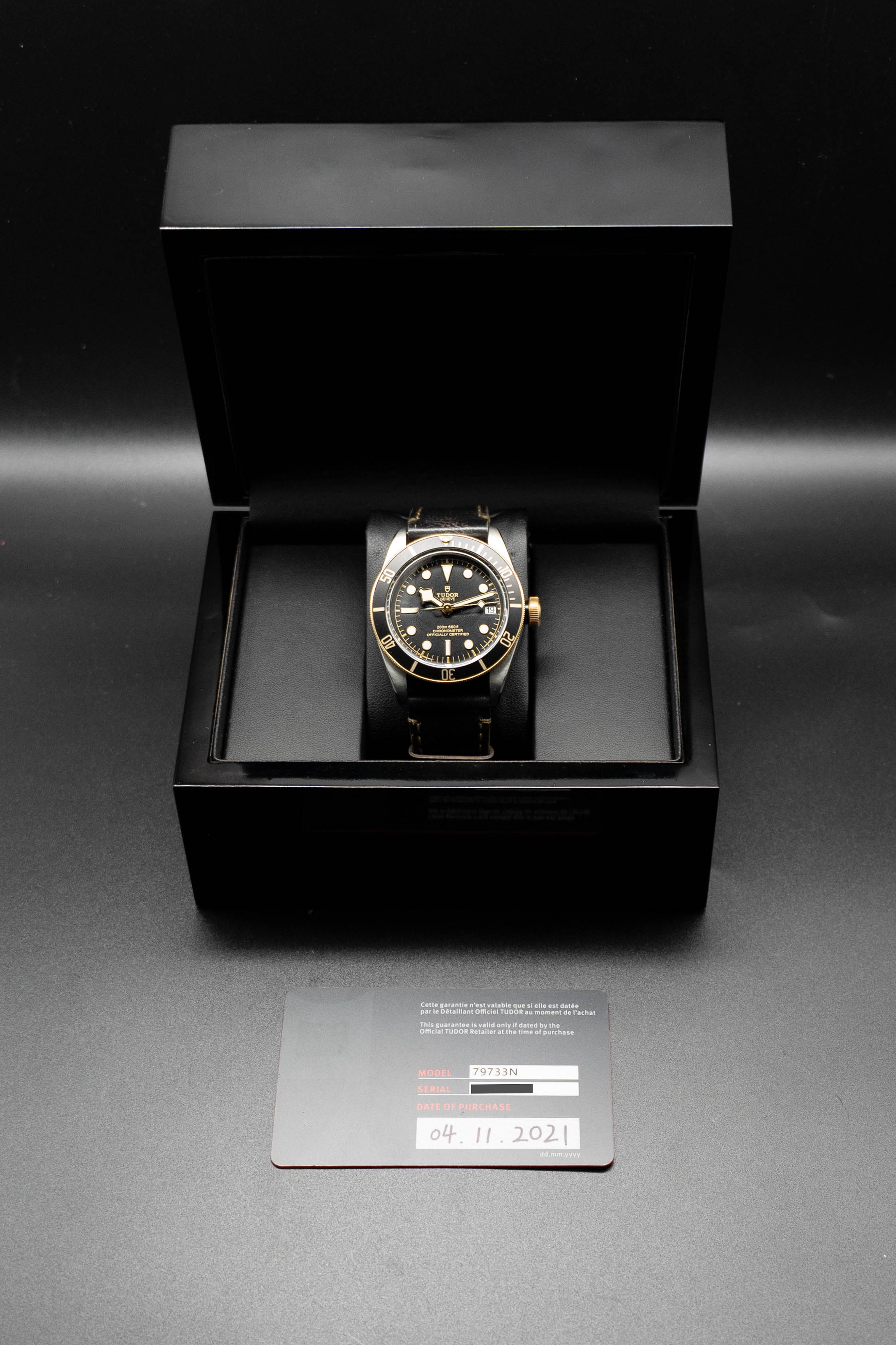 Tudor Black Bay S&G 79733N Black Dial Papers 2021